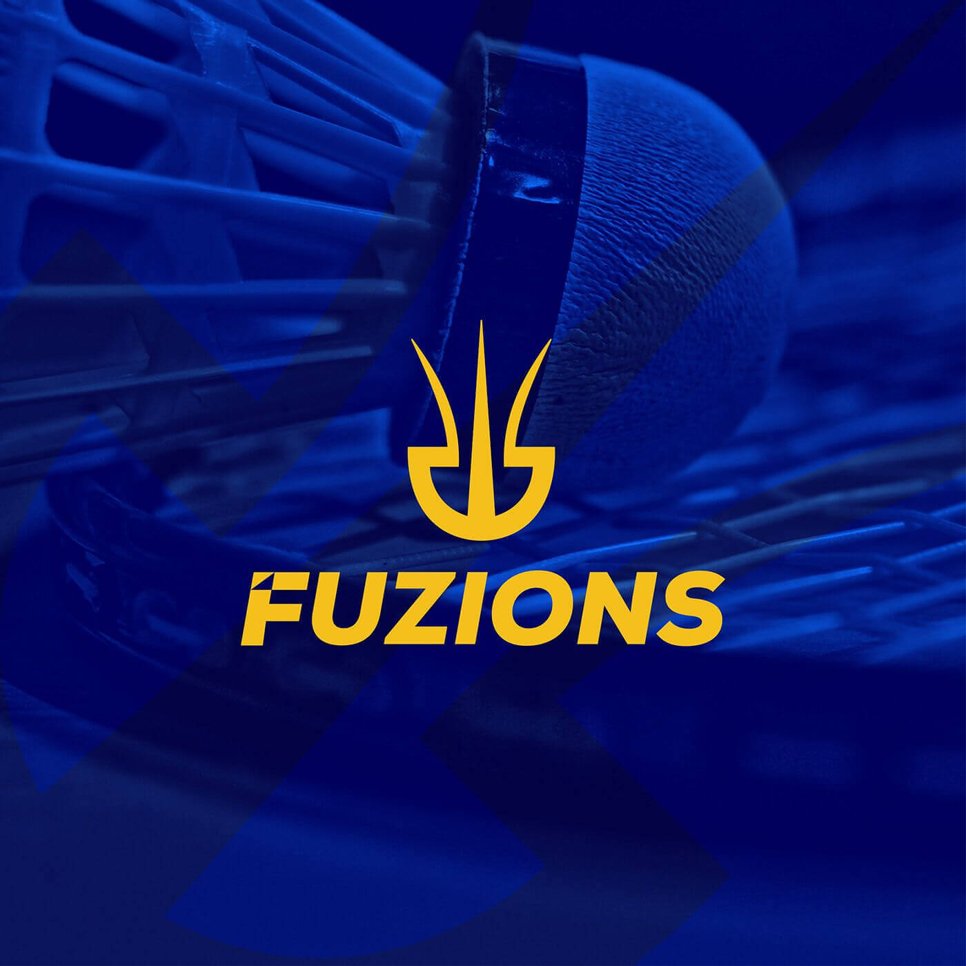 Fuzions